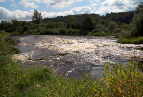 Dubysos regioninis parkas