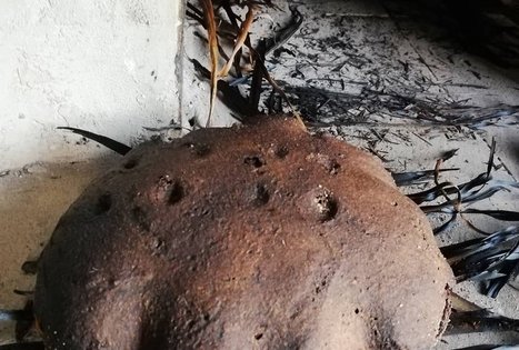 Sodyba „Gervių giesmė“