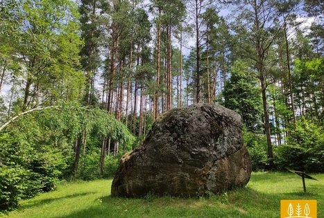 Didysis Dzūkijos akmuo
