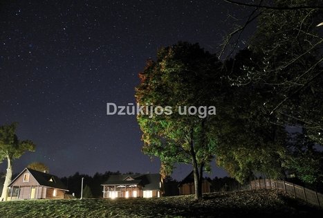 Sodyba „Dzūkų uoga“