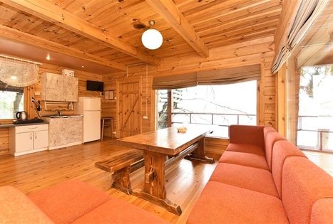 Bronės Nijolės Urbonienės sodyba