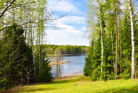 Bronės Nijolės Urbonienės sodyba