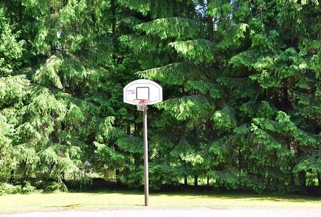 Alės Podėnienės sodyba