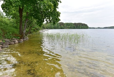 Sodyba „Mažasis Vencavas“