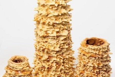 Audriaus Banionio ūkis