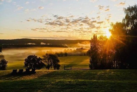 Sodyba „Mockynė“