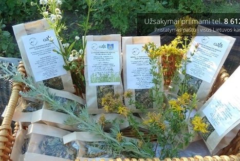 Gydytojos Zofijos Tikuišienės ekologiški vaistiniai augalai