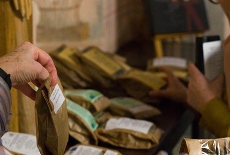 Gydytojos Zofijos Tikuišienės ekologiški vaistiniai augalai