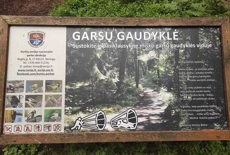 Garsų gaudyklė