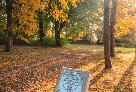 Gėluvos piliakalnis arba Birutkalnis