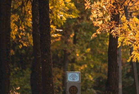 Gėluvos piliakalnis arba Birutkalnis