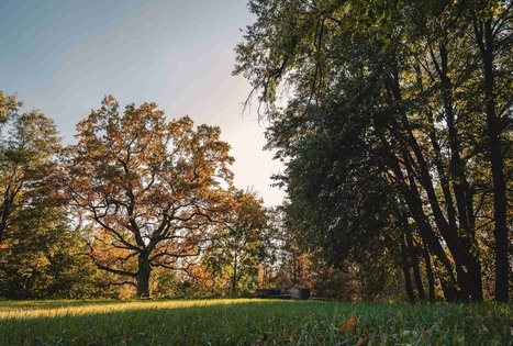 Gėluvos piliakalnis arba Birutkalnis