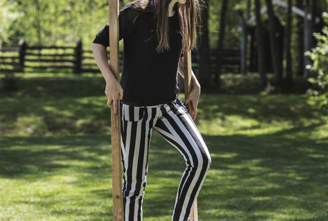 Etnokultūrinė kaimo turizmo sodyba „Gervių giesmė“