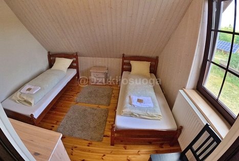 Įmonių renginiai gamtoje