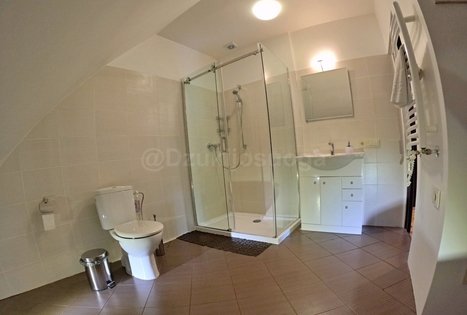 Įmonių renginiai gamtoje