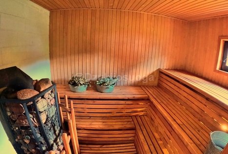 Įmonių renginiai gamtoje