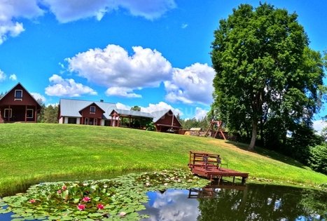 Įmonių renginiai gamtoje