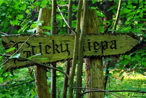 Dendrologinis pažintinis takas