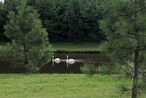 „Dvarčėnų dvaras“