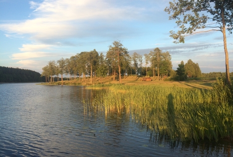 Sodyba „Prie Labanoro“