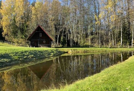 Sodyba „Labanoro pasaka“