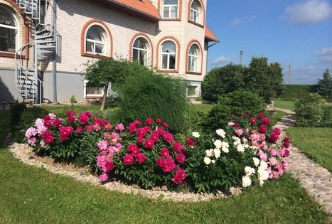 Žilių šeimos ekologinis ūkis