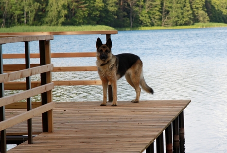 Sodyba „Prie Labanoro“