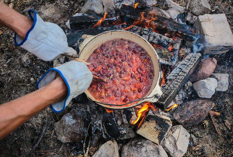 Susiliek su gamta Lietuvos miškų glūdumoje 
