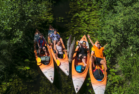 Susiliek su gamta Lietuvos miškų glūdumoje 