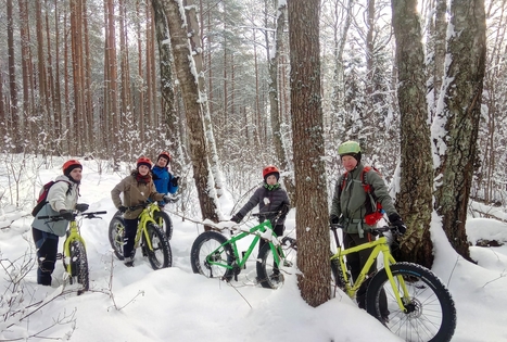 Susiliek su gamta Lietuvos miškų glūdumoje 