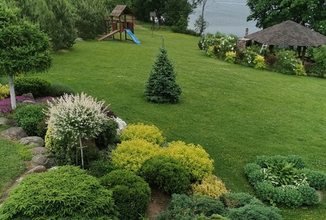 Sodyba „Pažiezdris“