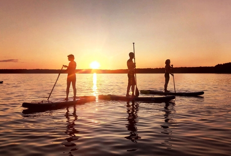 Susiliek su gamta Lietuvos miškų glūdumoje 