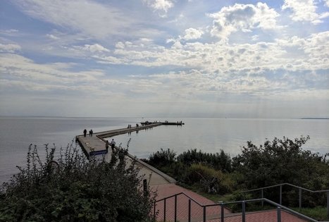 Ventės Rago ornitologinė stotis