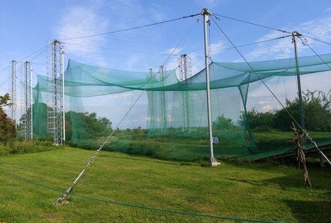 Ventės Rago ornitologinė stotis