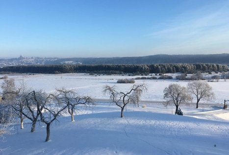 Sodyba „Mockynė“