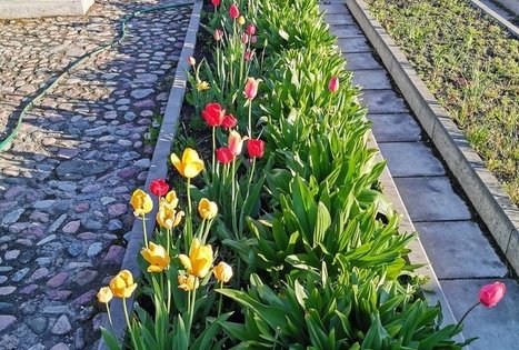 Sodyba „Mockynė“