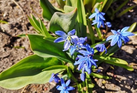 Sodyba „Mockynė“