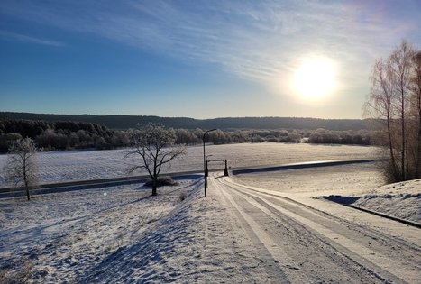 Sodyba „Mockynė“