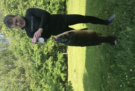 „Lauryno sodyba“