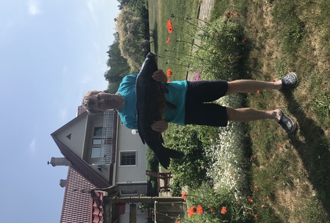 „Lauryno sodyba“