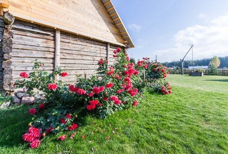 Sodyba „Po Vienu Rūmu“