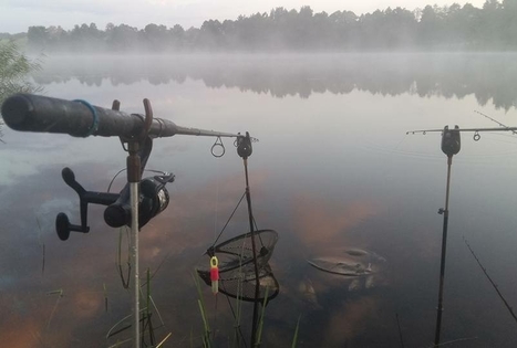 Sodyba „Prie Labanoro“