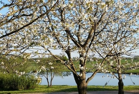 Sodyba „Prie Labanoro“