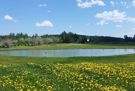 Sodyba „Prie Labanoro“