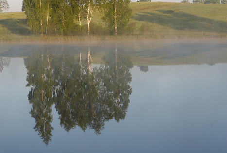 Sodyba „Marguoliai“
