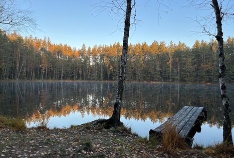 Sodyba „Labanoro pasaka“