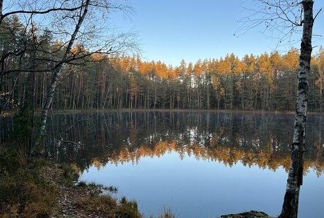 Sodyba „Labanoro pasaka“