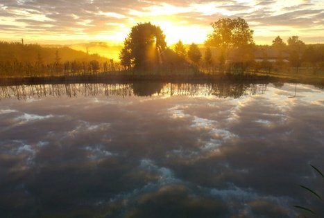 Sodyba „Mockynė“