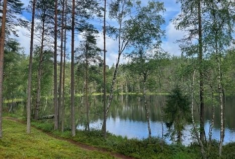 Sodyba „Labanoro pasaka“