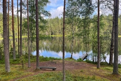 Sodyba „Labanoro pasaka“